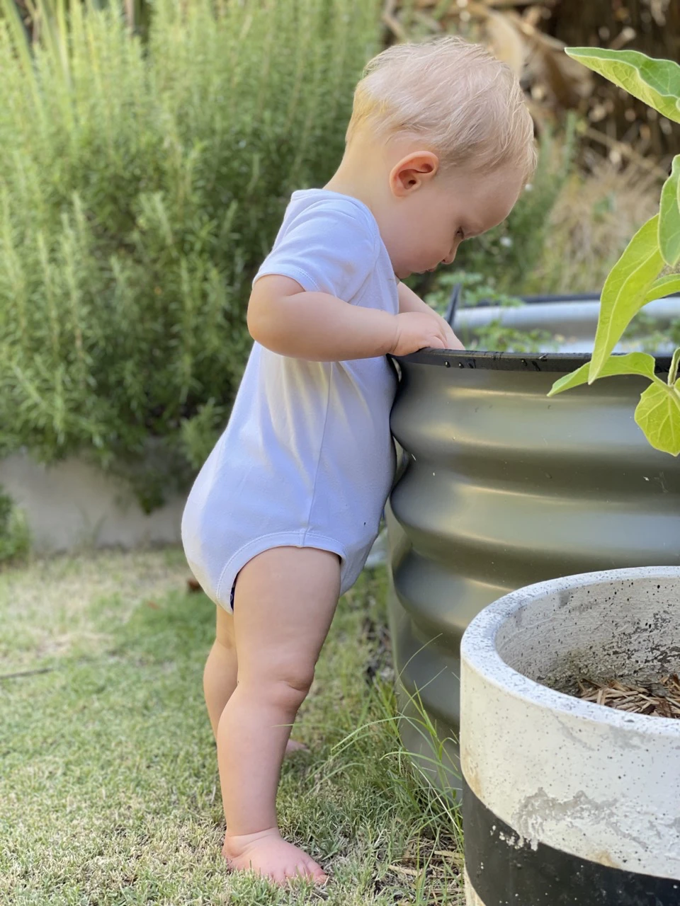 Children playing in garden bed