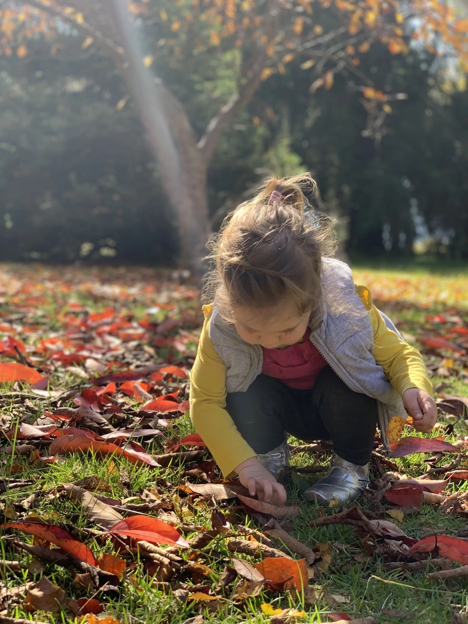 Child in leaves